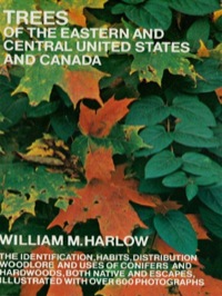 صورة الغلاف: Trees of the Eastern and Central United States and Canada 9780486203959