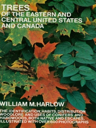 Cover image: Trees of the Eastern and Central United States and Canada 9780486203959