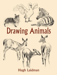 Cover image: Drawing Animals 9780486432076
