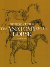 Imagen de portada: The Anatomy of the Horse 9780486234021