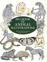 Omslagafbeelding: Big Book of Animal Illustrations 9780486404646