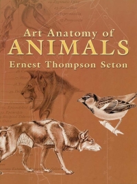 Cover image: Art Anatomy of Animals 9780486447476