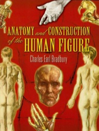 صورة الغلاف: Anatomy and Construction of the Human Figure 9780486455525