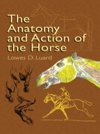 Titelbild: The Anatomy and Action of the Horse 9780486429809