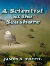 Cover image: A Scientist at the Seashore 9780486445649
