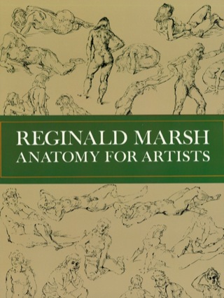 Cover image: Anatomy for Artists 9780486226132