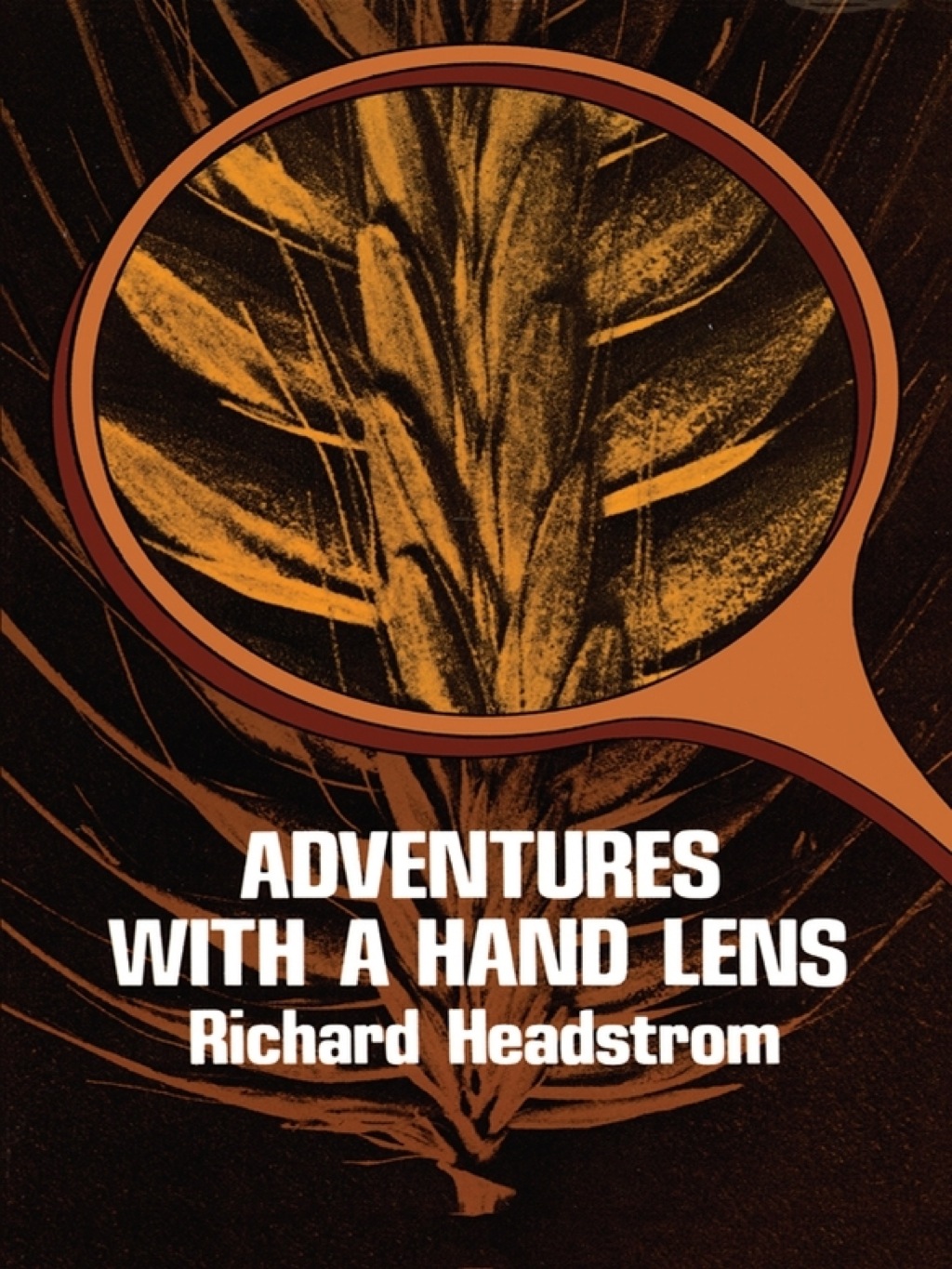 Adventures with a Hand Lens