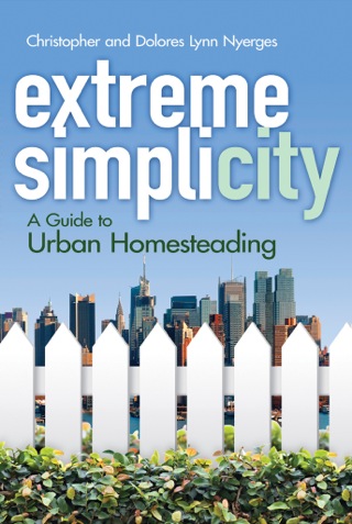 Cover image: Extreme Simplicity 9780486491141