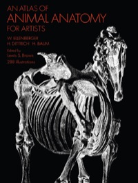 Cover image: An Atlas of Animal Anatomy for Artists 9780486200828