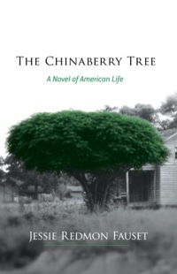 Omslagafbeelding: The Chinaberry Tree 9780486493220