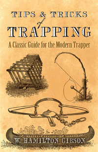 Imagen de portada: Tips and Tricks of Trapping 9780486819099