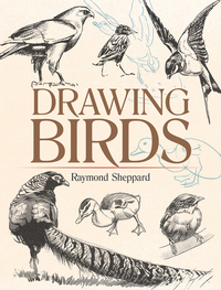 صورة الغلاف: Drawing Birds 9780486820323