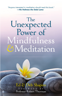 Omslagafbeelding: The Unexpected Power of Mindfulness and Meditation 9780486831824