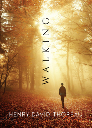 Imagen de portada: Walking 9780486836485