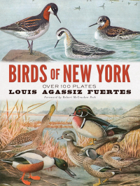 صورة الغلاف: Birds of New York 9780486837406