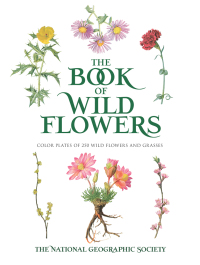 Imagen de portada: The Book of Wild Flowers 9780486840949