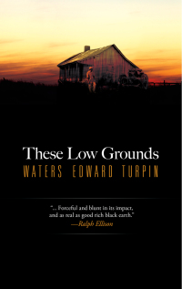 Titelbild: These Low Grounds 9780486843490
