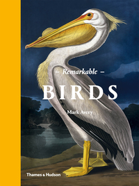 Cover image: Remarkable Birds 9780500518533