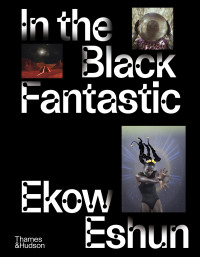 Immagine di copertina: In the Black Fantastic 9780500024621
