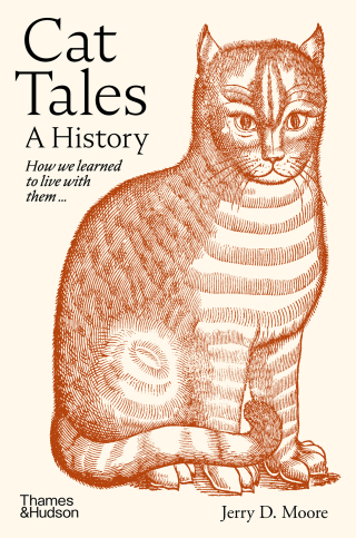 Cover image: Cat Tales 9780500029534