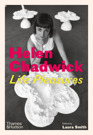 Cover image: Helen Chadwick: Life Pleasures 1st edition 9780500028889