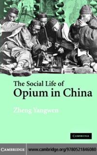 Immagine di copertina: The Social Life of Opium in China 1st edition 9780521846080