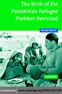 صورة الغلاف: The Birth of the Palestinian Refugee Problem Revisited 2nd edition 9780521811200