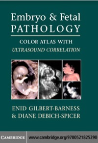 Cover image: Embryo and Fetal Pathology 1st edition 9780521825290