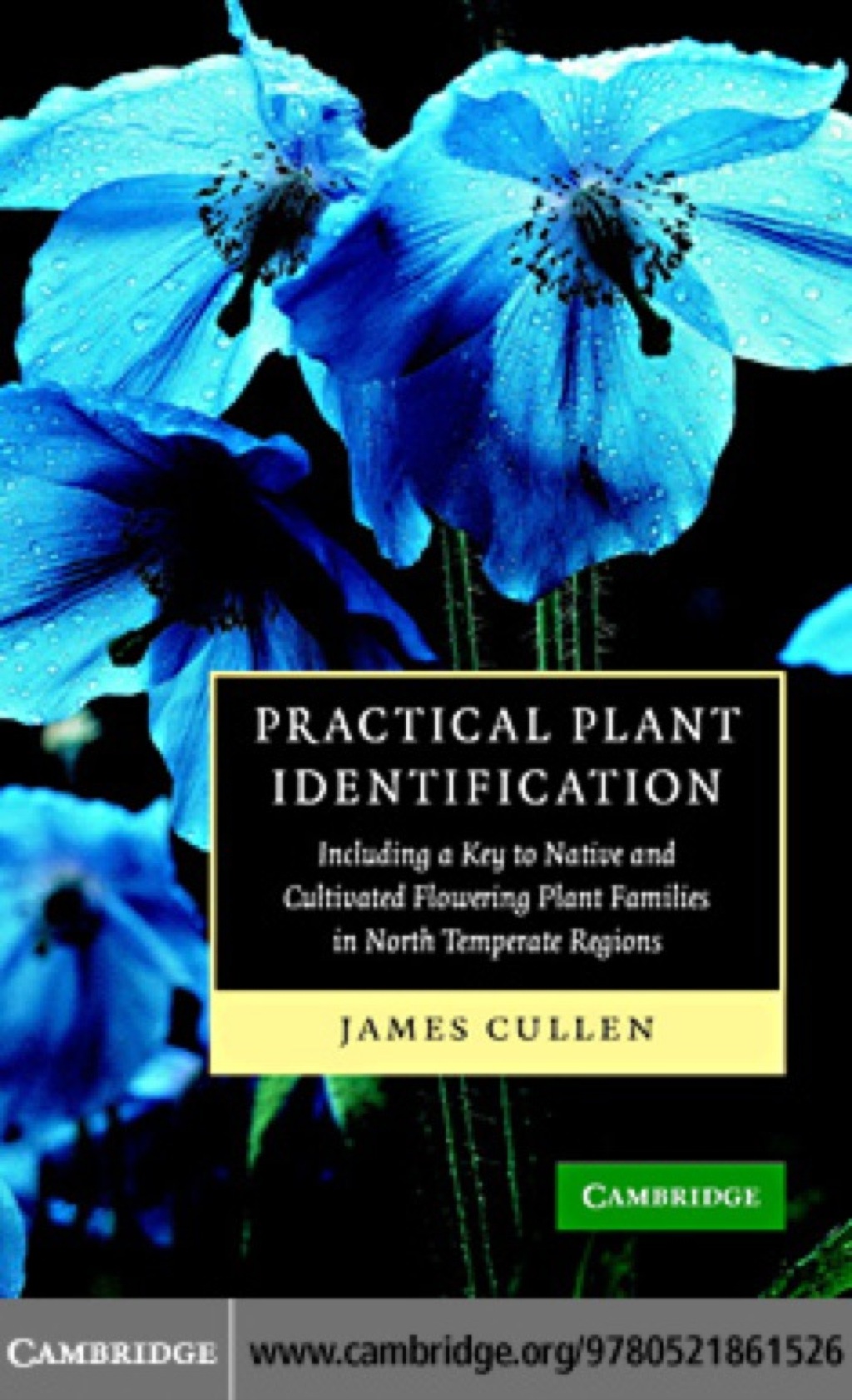 Practical Plant Identification Including a Key to Native and Cultivated Flowering Plants in North Temperate Regions 1st Edition