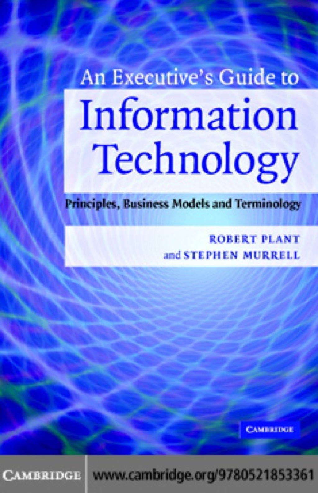 An Executive’s Guide to Information Technology Principles, Business Models, and Terminology 1st Edition