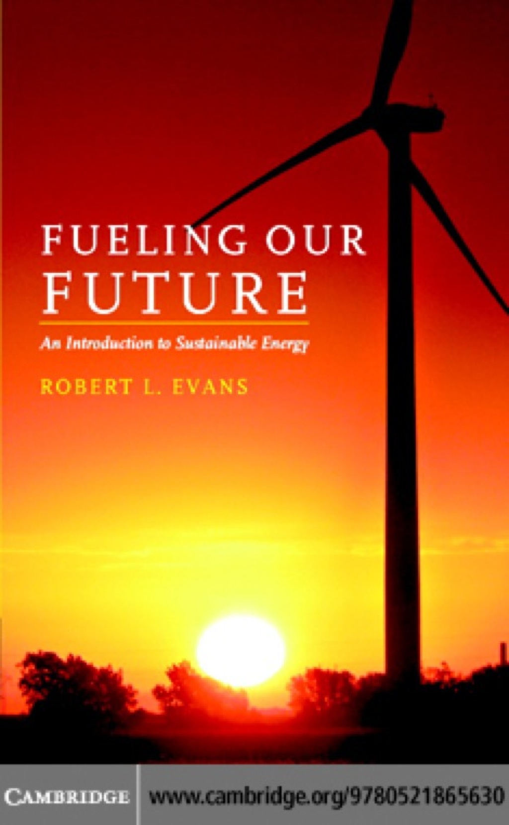 Fueling Our Future: An Introduction to Sustainable Energy 1st Edition
