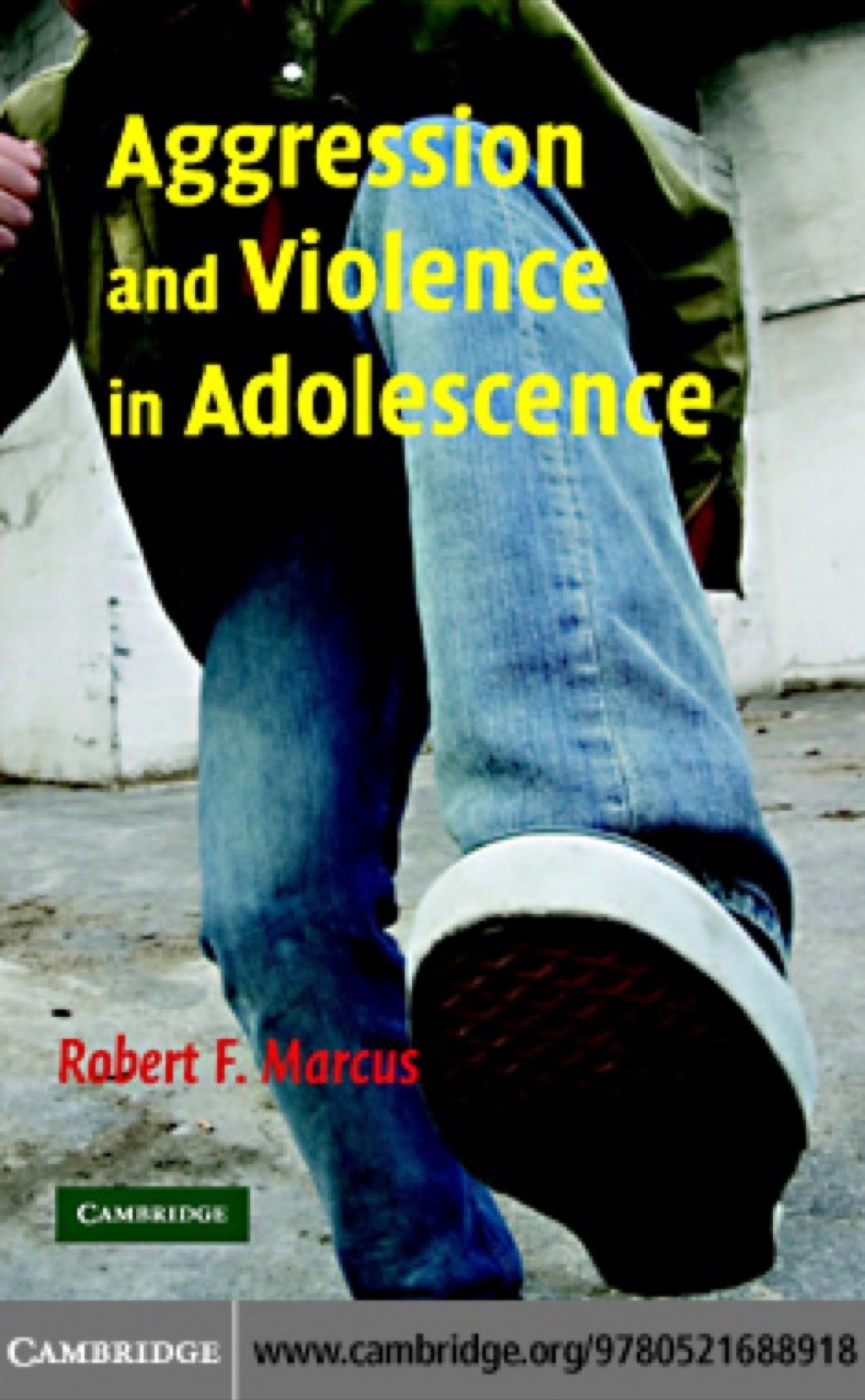 Aggression and Violence in Adolescence 1st Edition