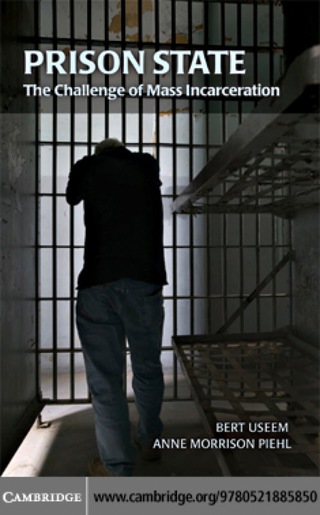 Imagen de portada: Prison State 9780521885850