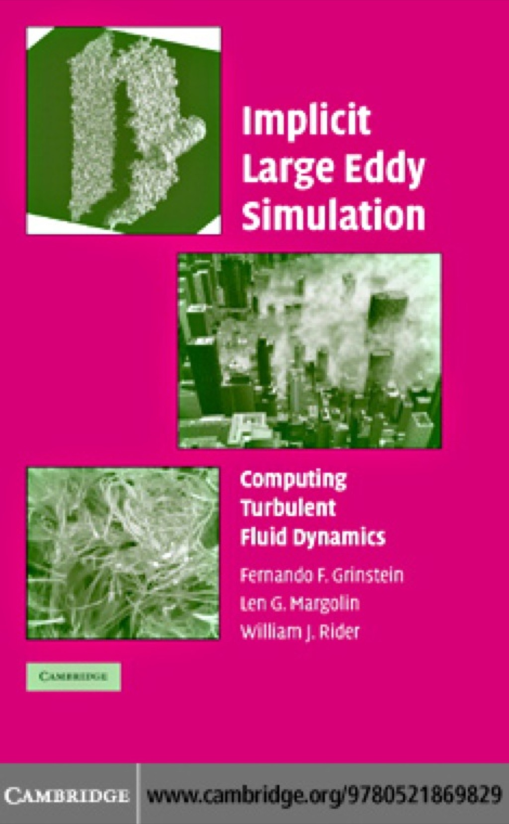 Implicit Large Eddy Simulation Computing Turbulent Fluid Dynamics 1st Edition