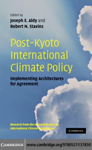 Cover image: Post-Kyoto International Climate Policy 1st edition 9780521137850