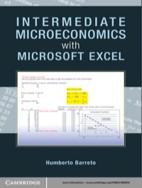 Cover image: Intermediate Microeconomics with Microsoft Excel 1st edition 9780521899024
