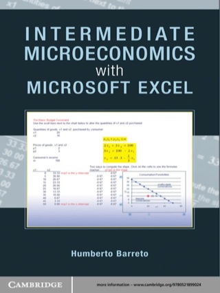Cover image: Intermediate Microeconomics with Microsoft Excel 1st edition 9780521899024