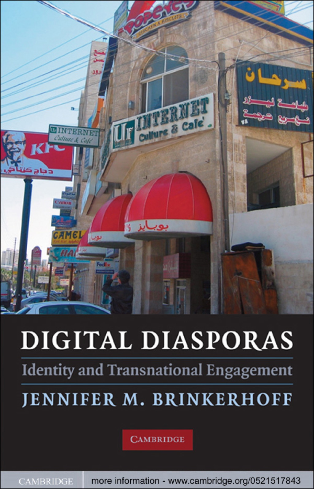 Digital Diasporas Identity and Transnational Engagement 1st Edition