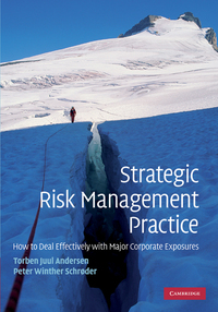 Cover image: Strategic Risk Management Practice 1st edition 9780521114240