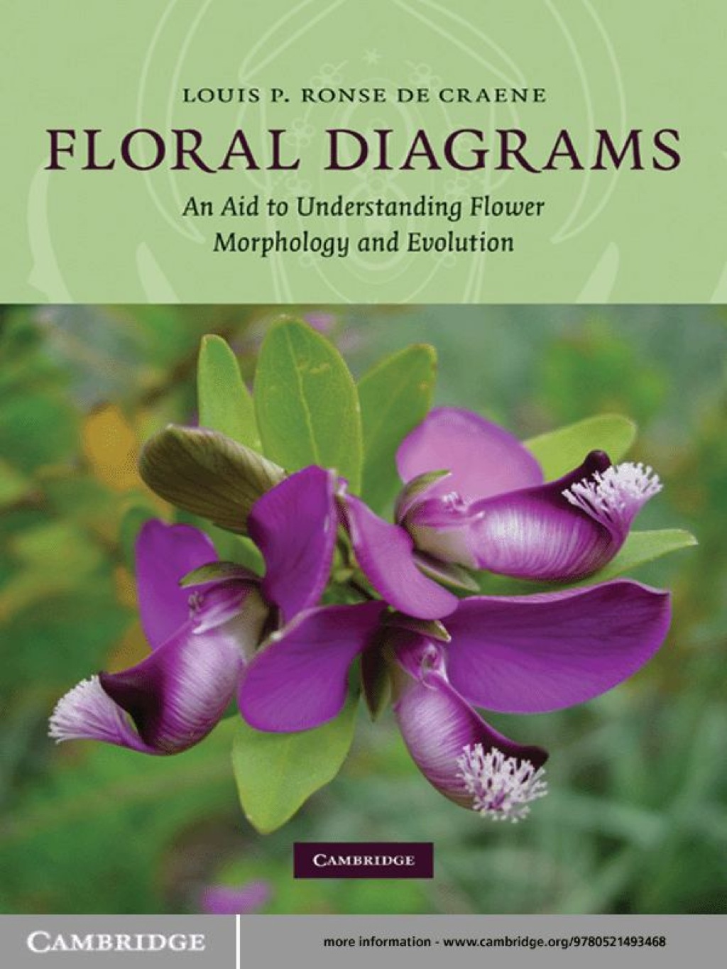 Floral Diagrams An Aid to Understanding Flower Morphology and Evolution 1st Edition