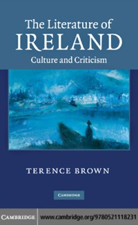 Titelbild: The Literature of Ireland 1st edition 9780521118231