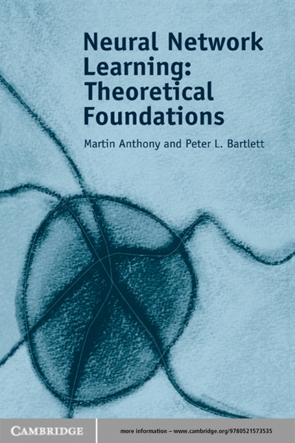 Neural Network Learning Theoretical Foundations 1st Edition