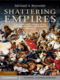 Titelbild: Shattering Empires 1st edition 9780521195539
