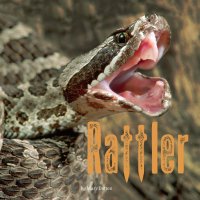 Cover image: Rattler 9780448488417