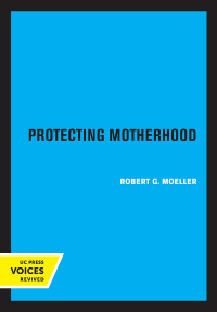 Cover image: Protecting Motherhood 1st edition