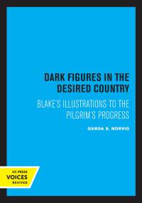 Imagen de portada: Dark Figures in the Desired Country 1st edition