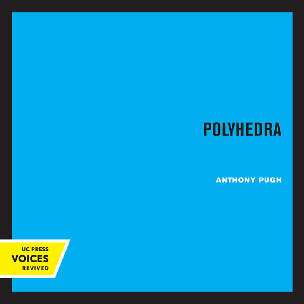 Polyhedra A Visual Approach 1st Edition