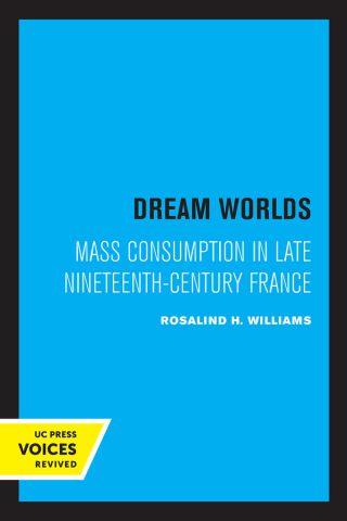 Cover image: Dream Worlds 1st edition 9780520074248