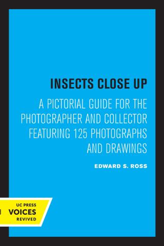 Cover image: Insects Close Up 1st edition