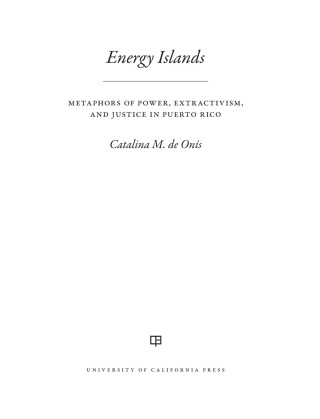 Titelbild: Energy Islands 1st edition 9780520380615